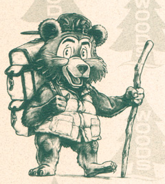 Cartoon - Woods Camping Bear