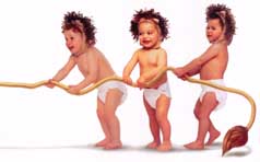 PhotoArt - Quadracel